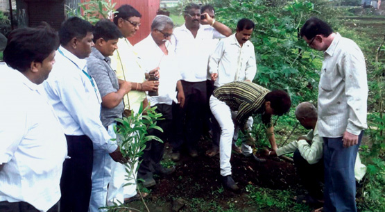 Ghoti Bank Plantation