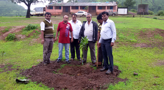 Ghoti Bank Plantation